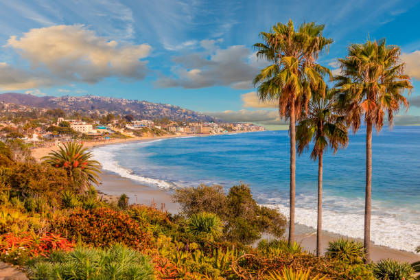 waves crashing and palm trees silhouetted in Orange County
